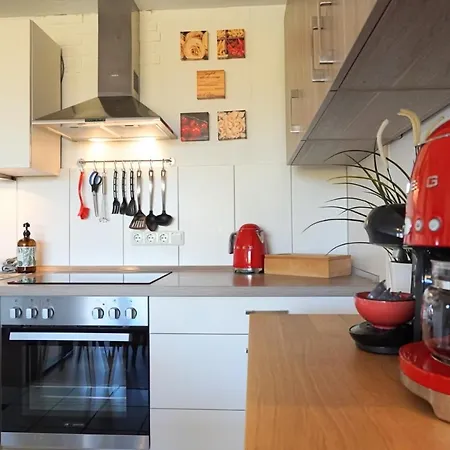 Apartment Bergoase Mit Pool & Sauna Scheidegg