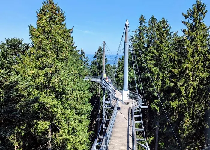 Bergoase Mit Pool & Sauna Scheidegg